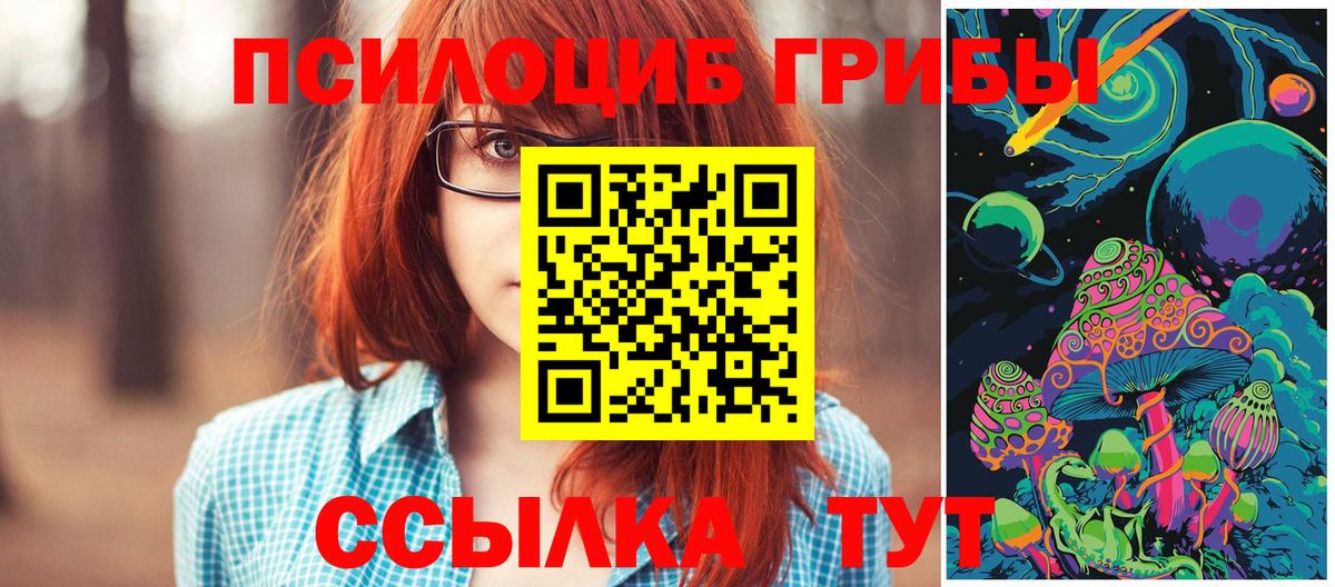 Добрянка  Галлюциногенные грибы Cubensis  Вход с VPN 